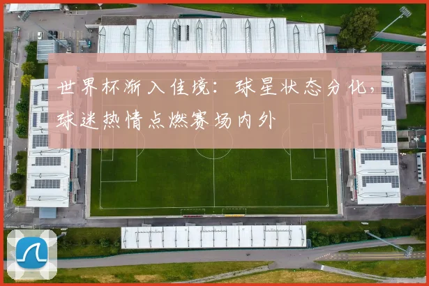 世界杯渐入佳境：球星状态分化，球迷热情点燃赛场内外